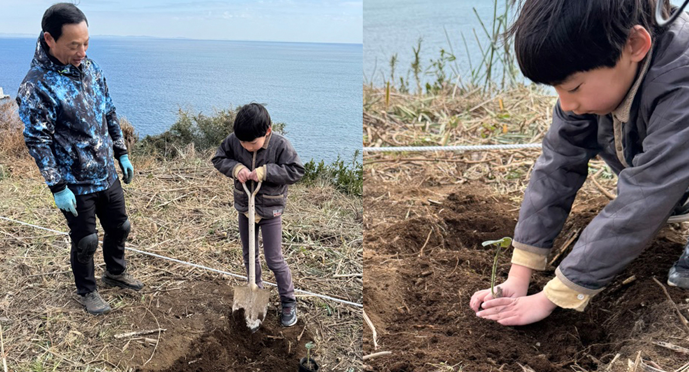  モバイルハウスで使用する材料は地産地消で持続可能!早成桐の塩害試験植樹祭