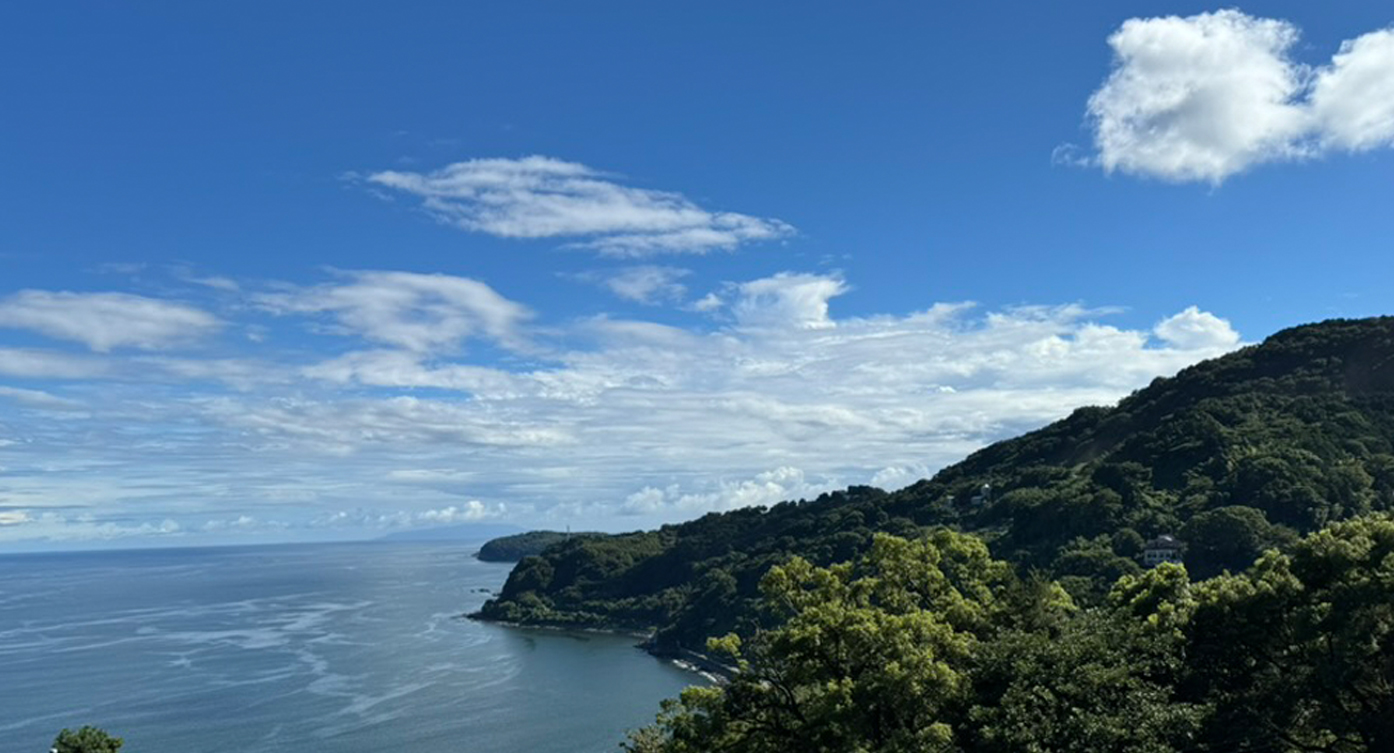 オフグリッドハブ誕生へ！食とエネルギーを繋ぐ新たな空間デザイン