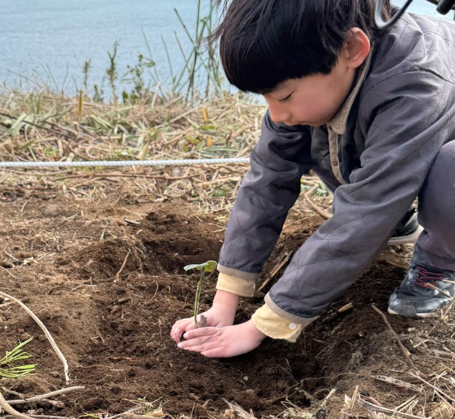  モバイルハウスで使用する材料は地産地消で持続可能!早成桐の塩害試験植樹祭