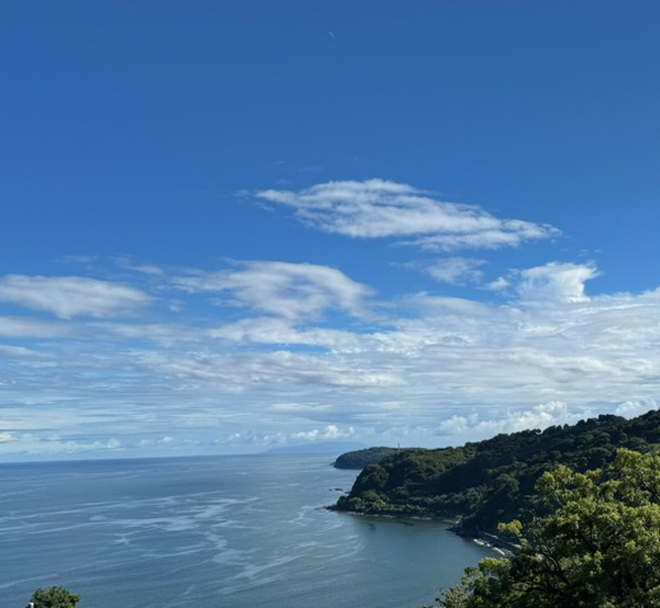 オフグリッドハブ誕生へ！食とエネルギーを繋ぐ新たな空間デザイン